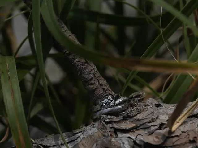 撮影をスムーズに行うため事前にしっかり打ち合わせしますサービスの画像