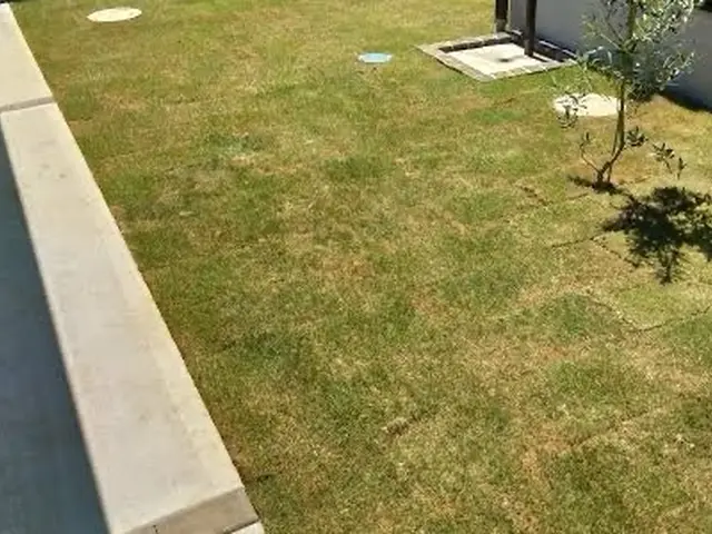 【駐車場代はお店で負担】営業時間外／対応地域外もご相談ください！サービスの画像