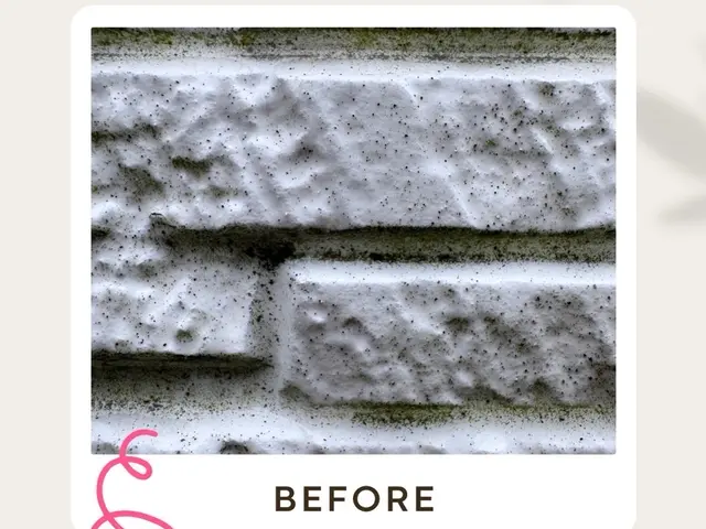 【高圧・低圧】選択可　外壁の汚れ・コケ・カビを除去！美観を取り戻す洗浄サービスサービスの画像