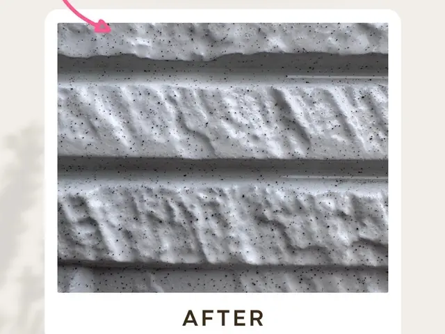 【高圧・低圧】選択可　外壁の汚れ・コケ・カビを除去！美観を取り戻す洗浄サービスサービスの画像