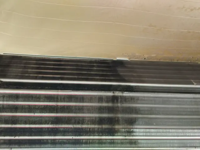 ◎防カビ抗菌コートサービス中◎エコ洗剤を使用◎女性スタッフ同行ok（要予約）サービスの画像