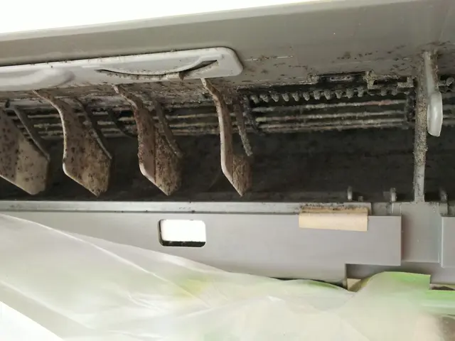 ◎防カビ抗菌コートサービス中◎エコ洗剤を使用◎女性スタッフ同行ok（要予約）サービスの画像