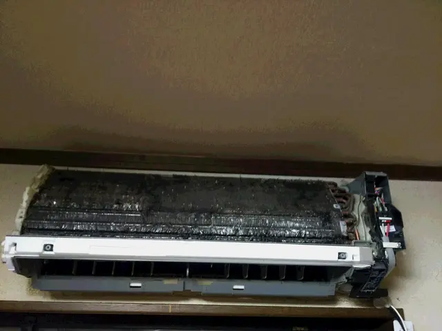 ◎防カビ抗菌コートサービス中◎エコ洗剤を使用◎女性スタッフ同行ok（要予約）サービスの画像