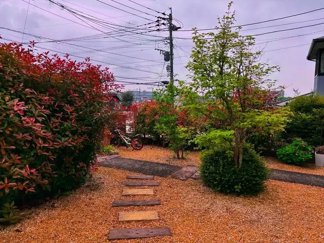 庭木の剪定サービスの画像