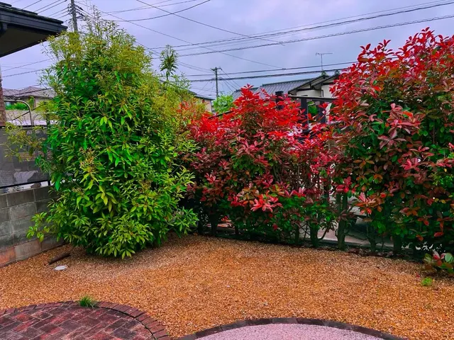 庭木の剪定サービスの画像