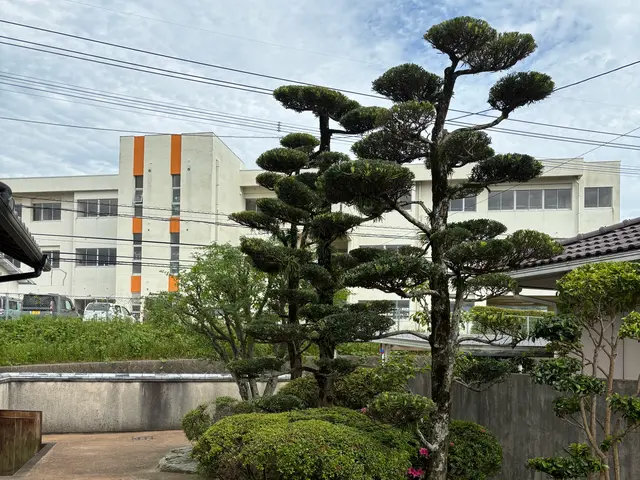 庭木の剪定サービスの画像