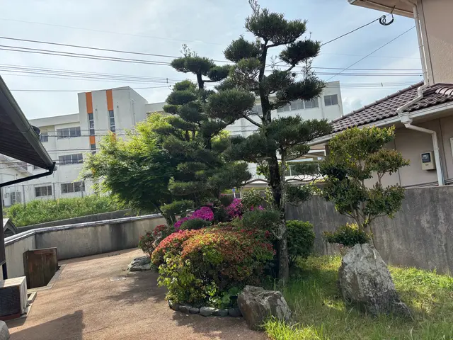 庭木の剪定サービスの画像