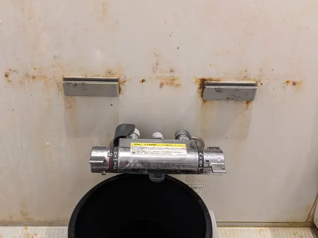 ★業界歴10年★ 《オゾン防カビ・防臭¥2,000-》☆人と環境にも優しい洗剤☆サービスの画像