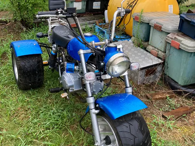 関東広域対応可◎250まで◎トライクジャイロ加算なし　改造車相談サービスの画像