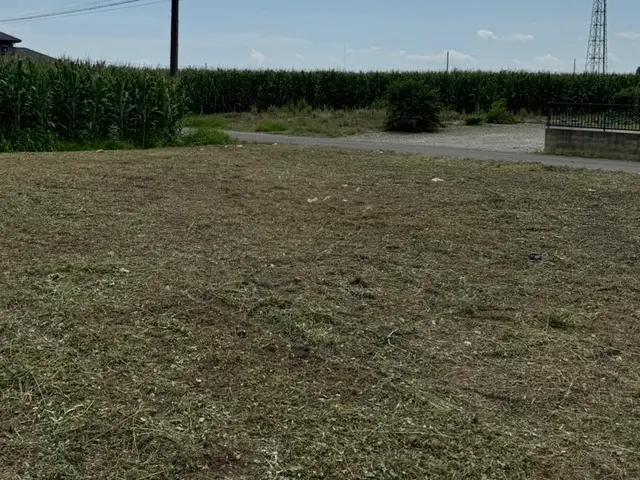 草刈り、伐採、大規模でもOK！サービスの画像