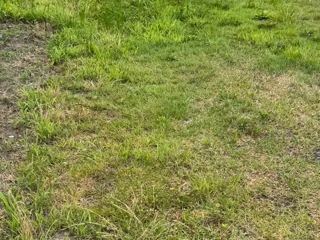 草刈り、伐採、大規模でもOK！サービスの画像