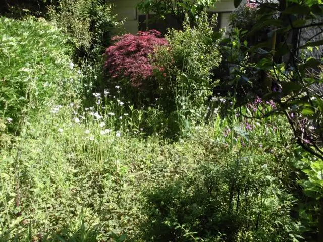 誠実さと迅速対応で、顧客満足度100％を目指します！お気軽にご相談ください！サービスの画像