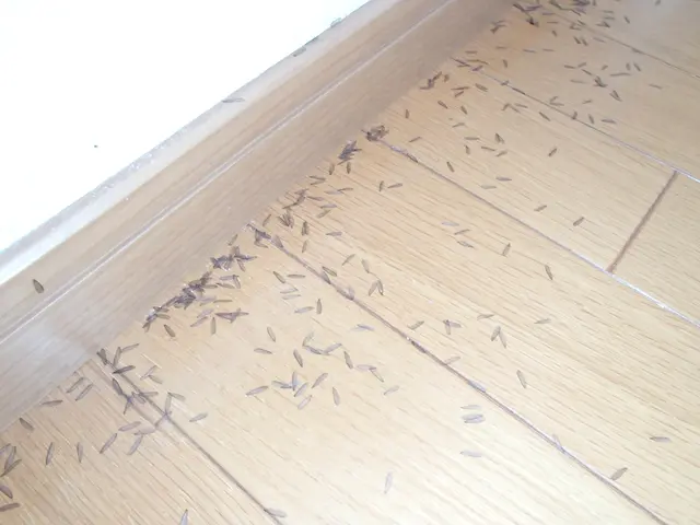 業界一筋28年！認定防除士が事前調査から説明、施工まで写真で説明するから安心♪サービスの画像