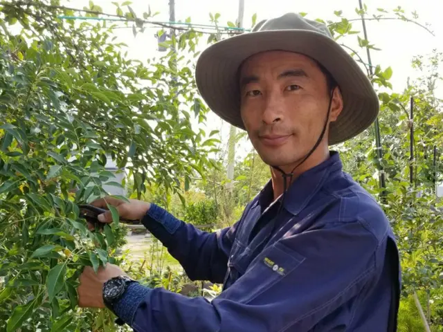 お庭の事ならおまかせ下さい！　1級造園技能士　職歴20年以上。ご相談ください。サービスの画像