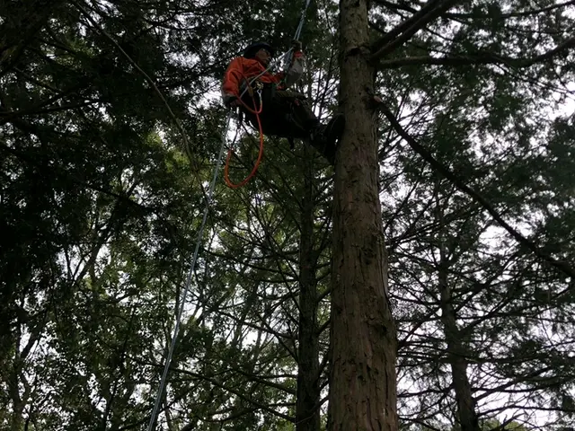 お庭の事ならおまかせ下さい！　1級造園技能士　職歴20年以上。ご相談ください。サービスの画像