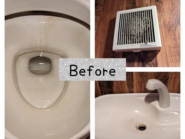 綺麗にしてトイレの神様をお迎えしましょうサービスの画像