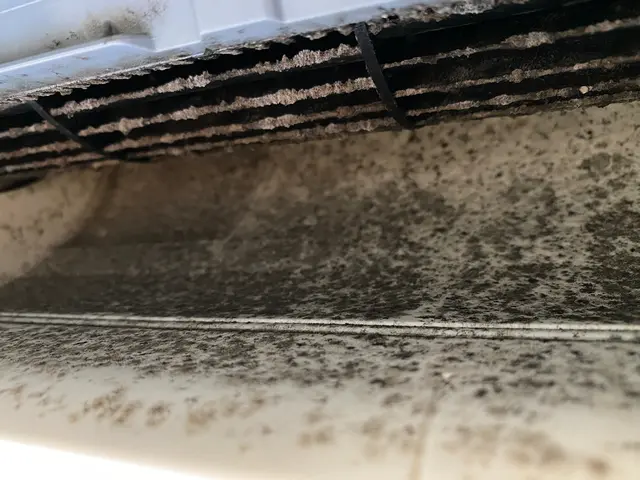 ◆キレイな空気創造します!!★10月限定価格!!◎出張費無料◆抗菌コート付きサービスの画像