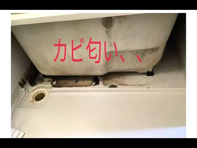 低価格で高クオリティ☆1児のパパさん店長がお伺い！サービスの画像