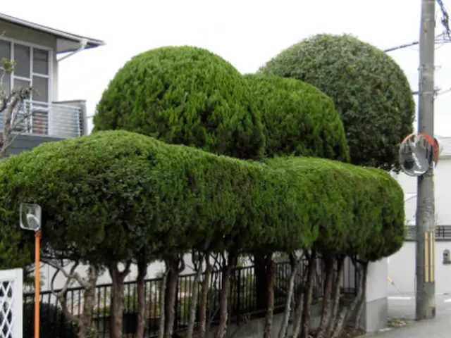 1本３０００円～【1/15~作業可能】価格とセンスに自信あり！＜業歴15年＞サービスの画像