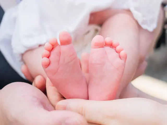 入学式・家族撮影もOKです