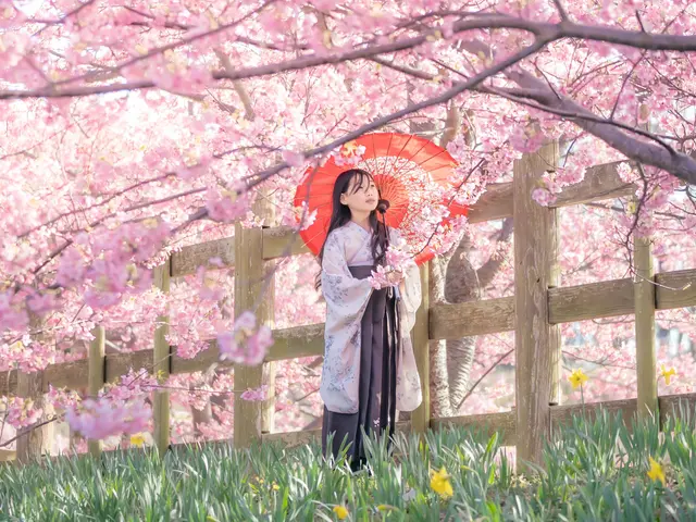 入園・卒園・入学・卒業