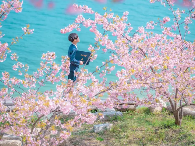 入園・卒園・入学・卒業