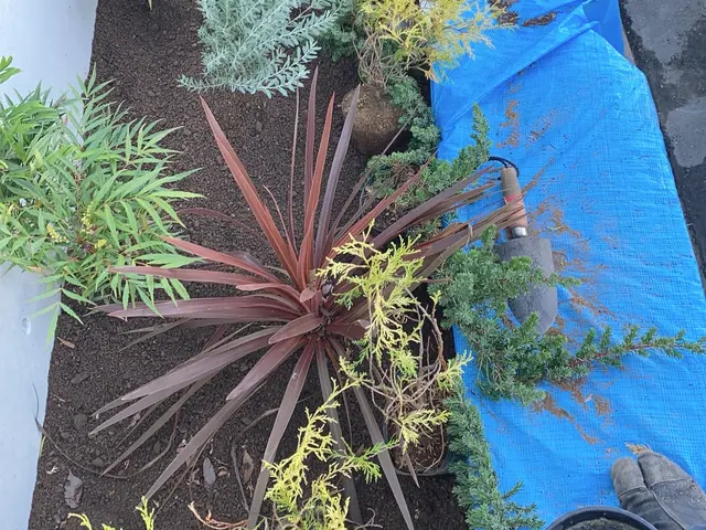 【業歴14年の実績】大手業務経験豊富◎当店の職人が迅速丁寧に対応いたします！サービスの画像