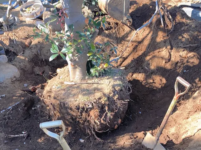 【業歴14年の実績】大手業務経験豊富◎当店の職人が迅速丁寧に対応いたします！サービスの画像