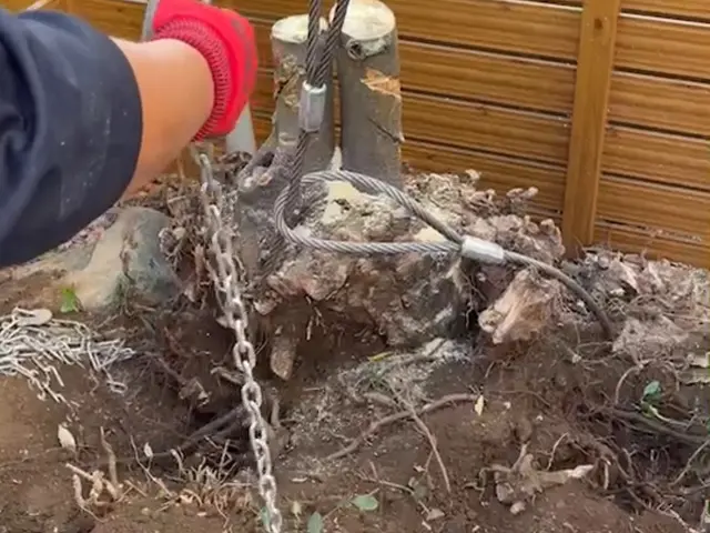 【伐根の達人！】木を抜きたい、除去したい方は、今すぐ無料のご相談！サービスの画像