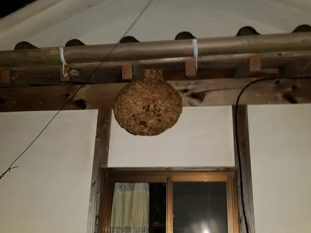 安心できる暮らしのサポートをしていきます◎当社が責任持って作業いたします◎サービスの画像