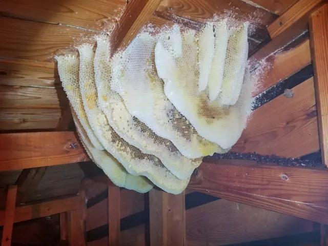 安心できる暮らしのサポートをしていきます◎当社が責任持って作業いたします◎サービスの画像