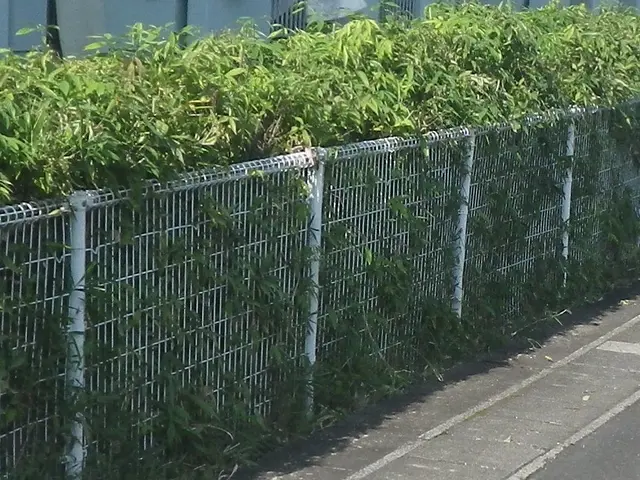 《業歴50年の実績》植え込みの剪定なら当社におまかせください！サービスの画像