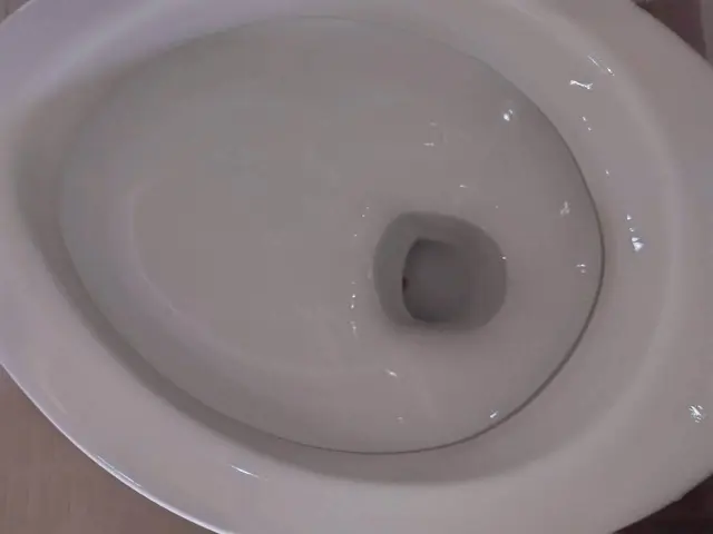 おトイレ掃除の神様サービスの画像