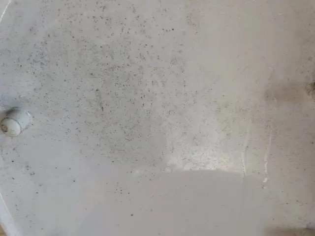 おトイレ掃除の神様サービスの画像