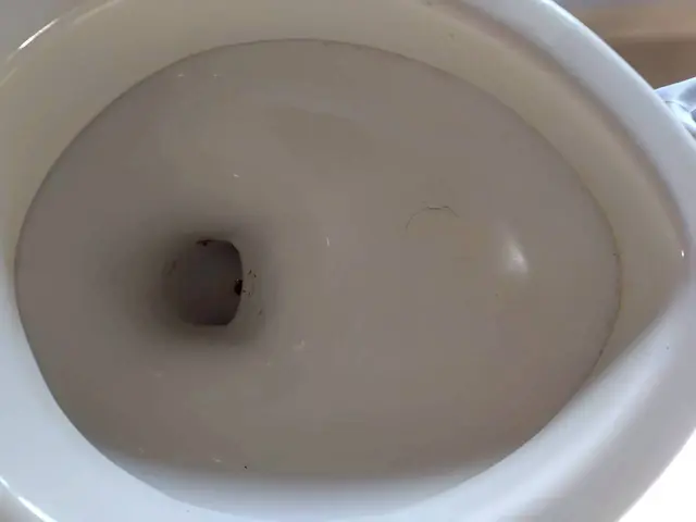 おトイレ掃除の神様サービスの画像