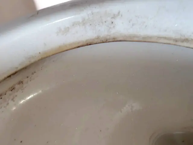 おトイレ掃除の神様サービスの画像