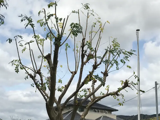 【豊富な経験と知識で安心！】安全第一の作業を常日頃から心がけています◎サービスの画像