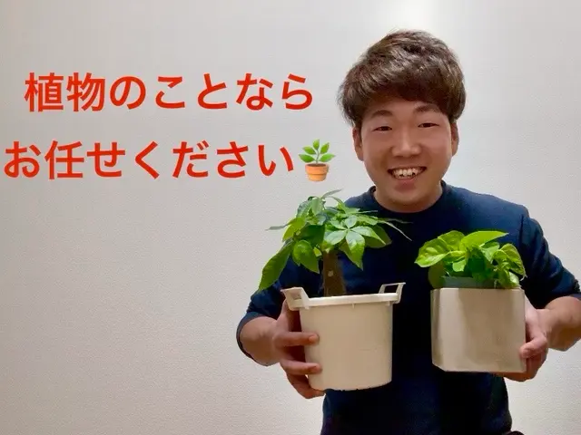 【作業実績200件以上】◆3/13から対応可能◆草刈りのことならお任せくださいサービスの画像