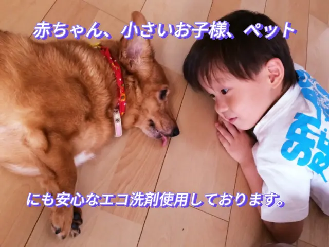 ☆特割☆赤ちゃんペットに安心な洗剤使用☆親切•丁寧な二児のパパがお伺いします。サービスの画像