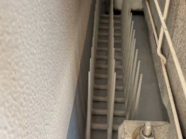 鳩の駆除はお任せ！！サービスの画像