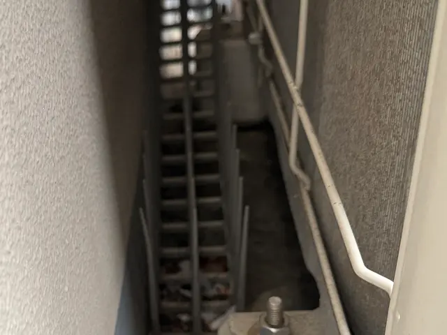 鳩の駆除はお任せ！！サービスの画像