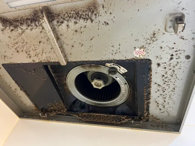 【必ず女性店長が施工♪】しつこい油汚れもすっきり★エリア外/時間外もOK◉サービスの画像