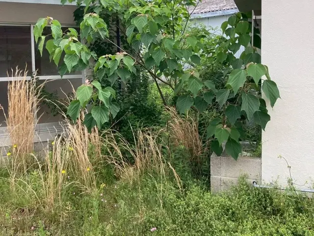 ◆松山市発◆年中無休・土日祝もご予約OK◎些細なご要望もお聞かせくださいサービスの画像