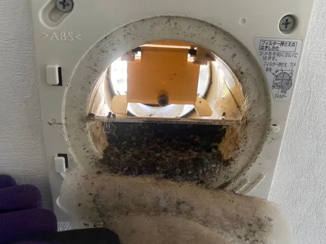 《コウモリ駆除歴10年》侵入口を徹底封鎖します◎さらに施工後の保証付きで安心◎サービスの画像