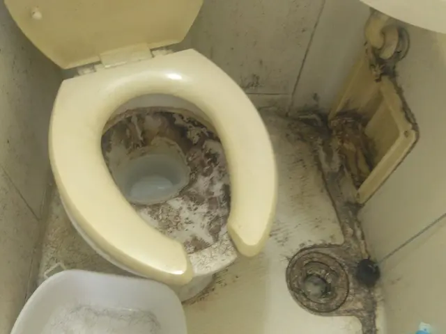 4月 新生活 新春応援キャンペーン☆サービスの画像