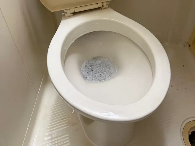 4月 新生活 新春応援キャンペーン☆サービスの画像