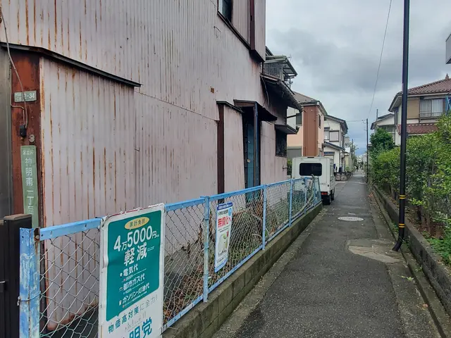 蔦や弦の撤去サービスの画像