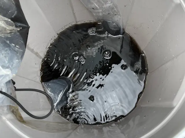 若さと元気で笑顔をお届け！お客様満足度重視のフレッシュサービスサービスの画像