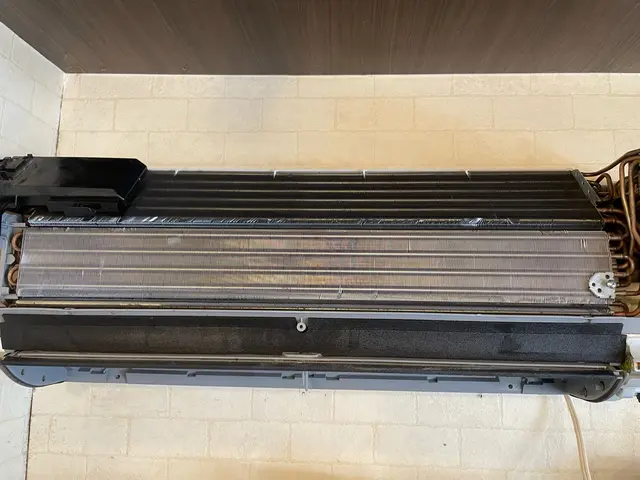 若さと元気で笑顔をお届け！お客様満足度重視のフレッシュサービスサービスの画像