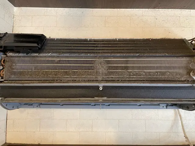 若さと元気で笑顔をお届け！お客様満足度重視のフレッシュサービスサービスの画像